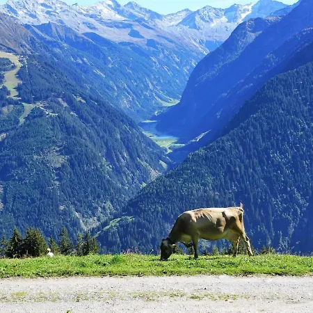 Rosenheim Appartement