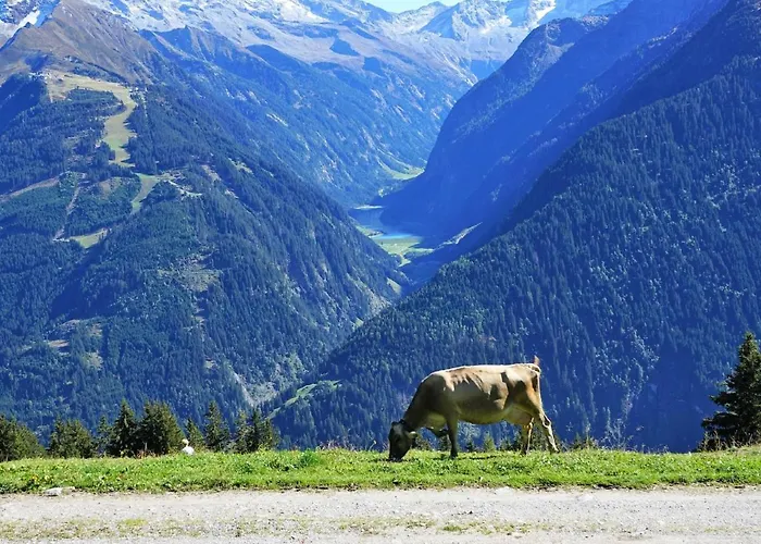 Rosenheim Appartement